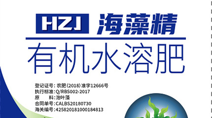 小白菜茁壮成长离不开海藻精有机水溶肥